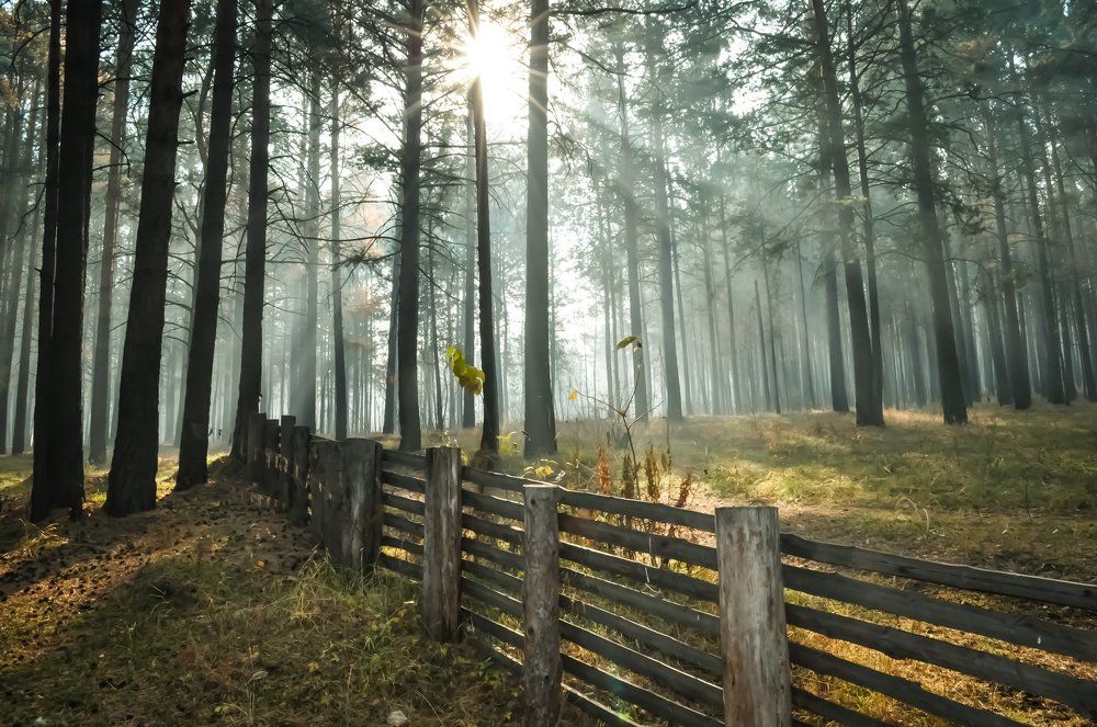 Photograph by Anastasia  Ka