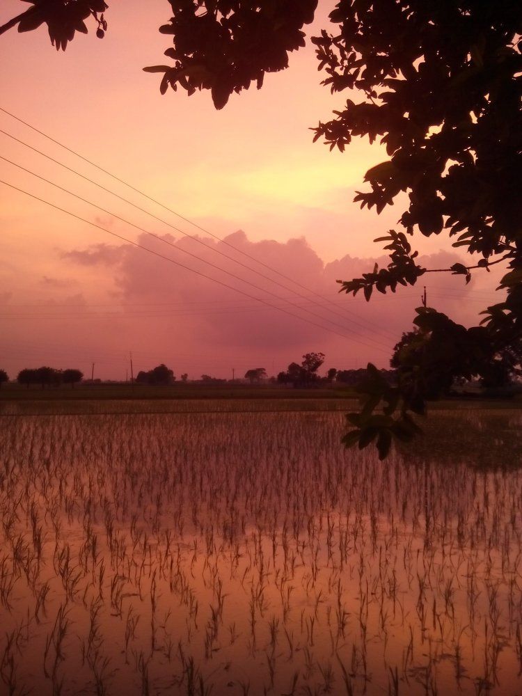 Nature