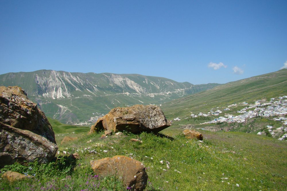Немые свидетели
