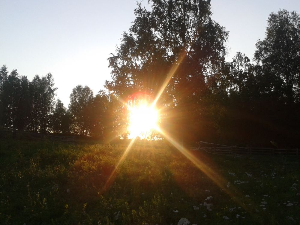 Природа