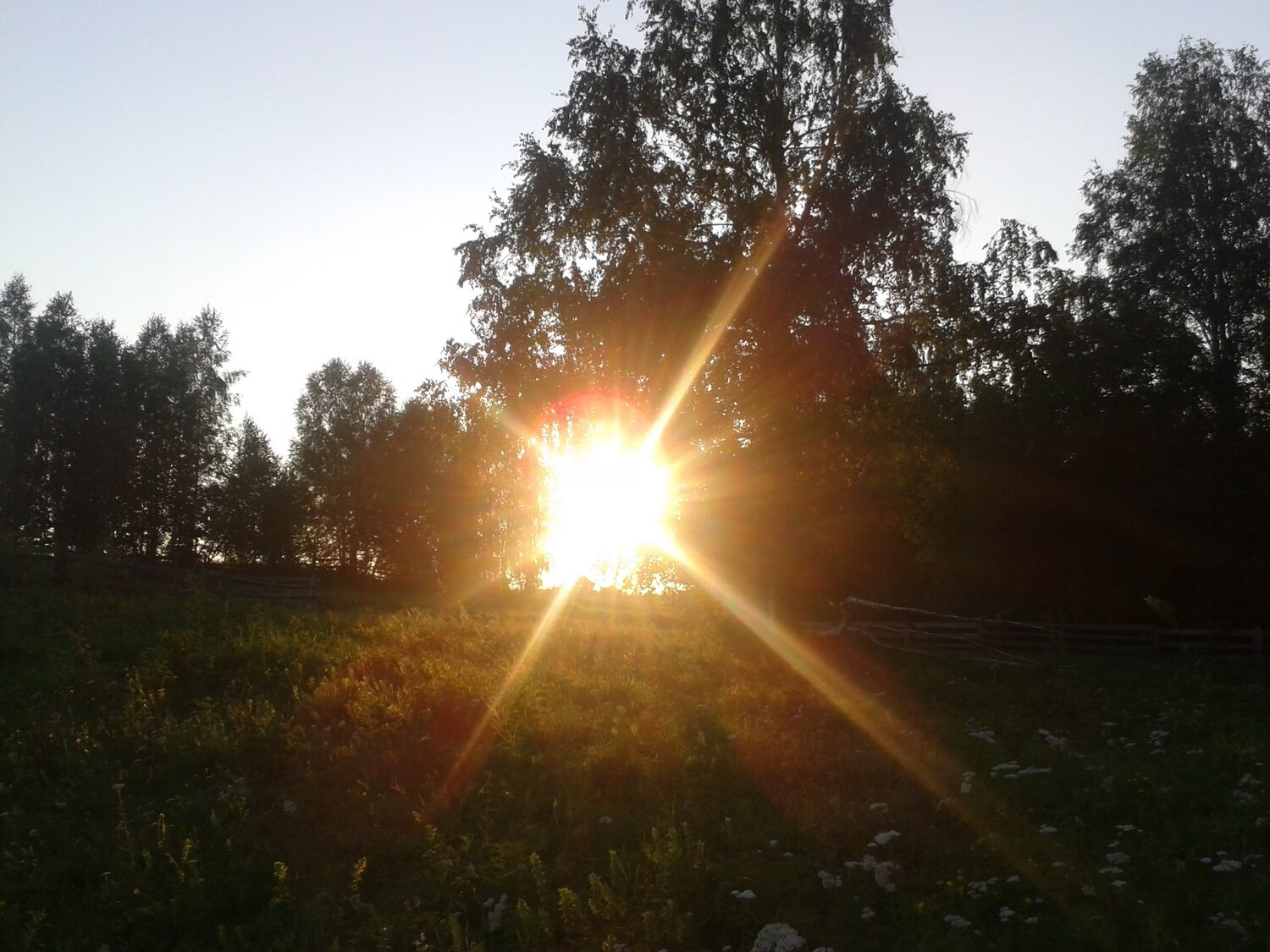 Природа