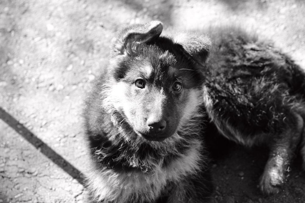 Photograph by Виктор