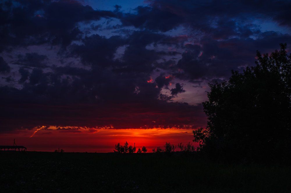 Photograph by Ирина Летунова