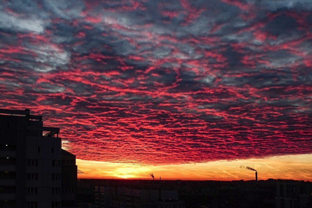 А из моего окна...