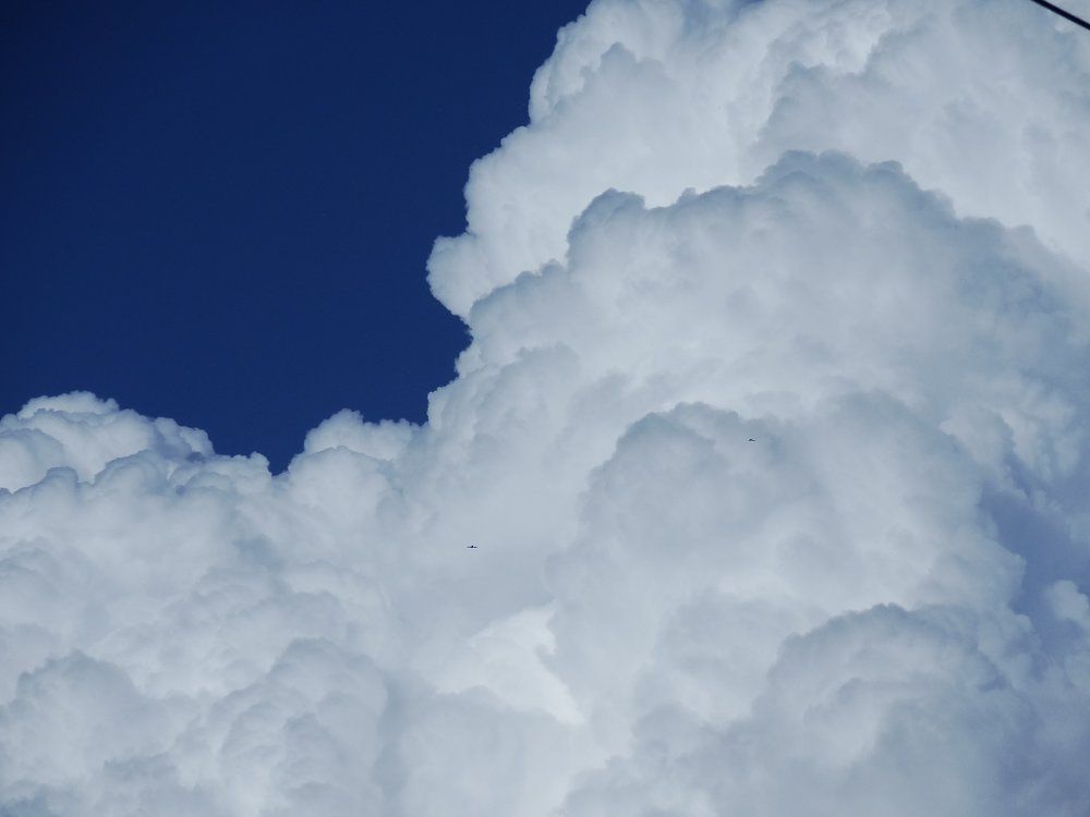 Photograph by Стефанова Татьяна