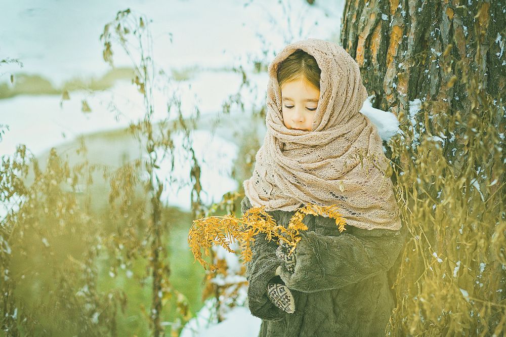 Зимняя сказка