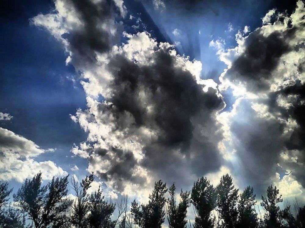 Photograph by Светлана