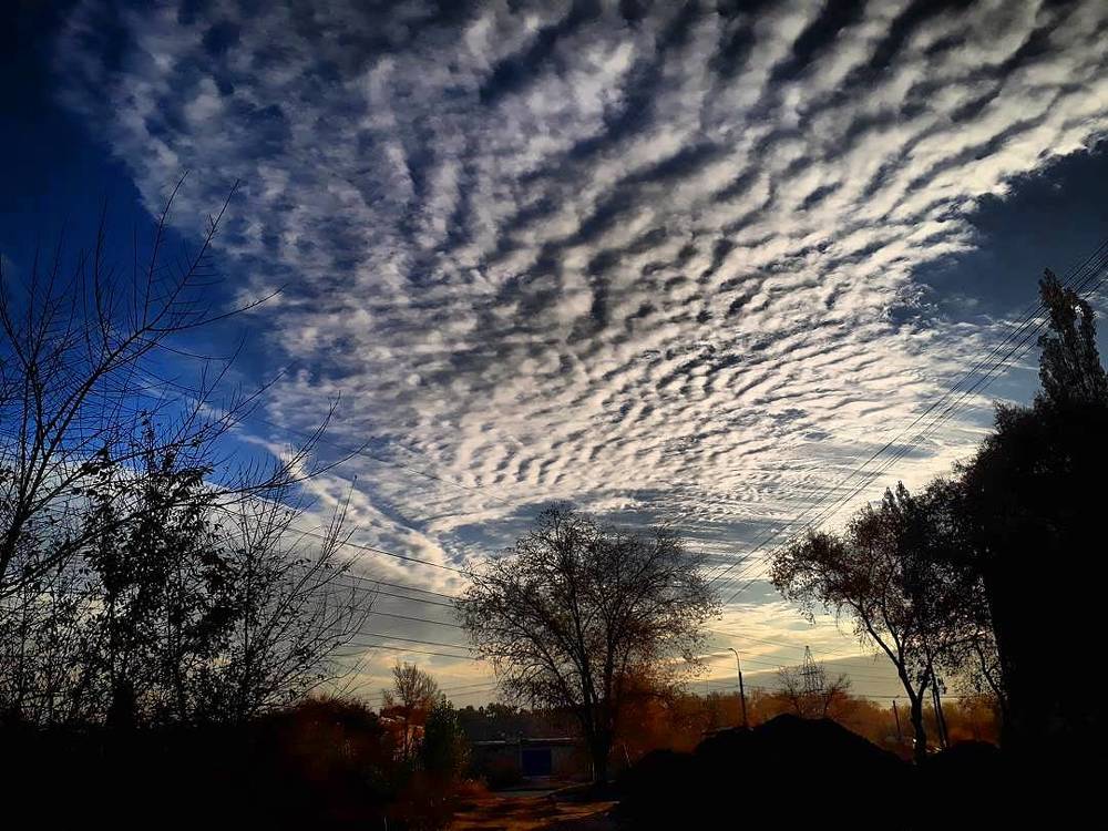 Photograph by Светлана