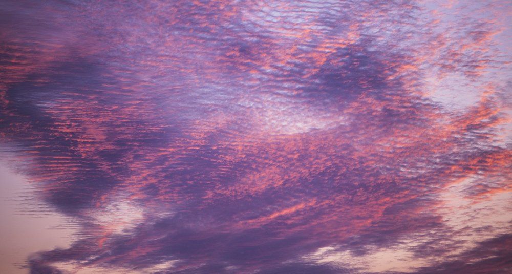 Photograph by Olena Leliuk