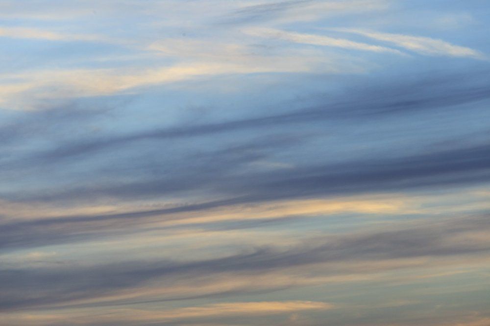 Photograph by Olena Leliuk