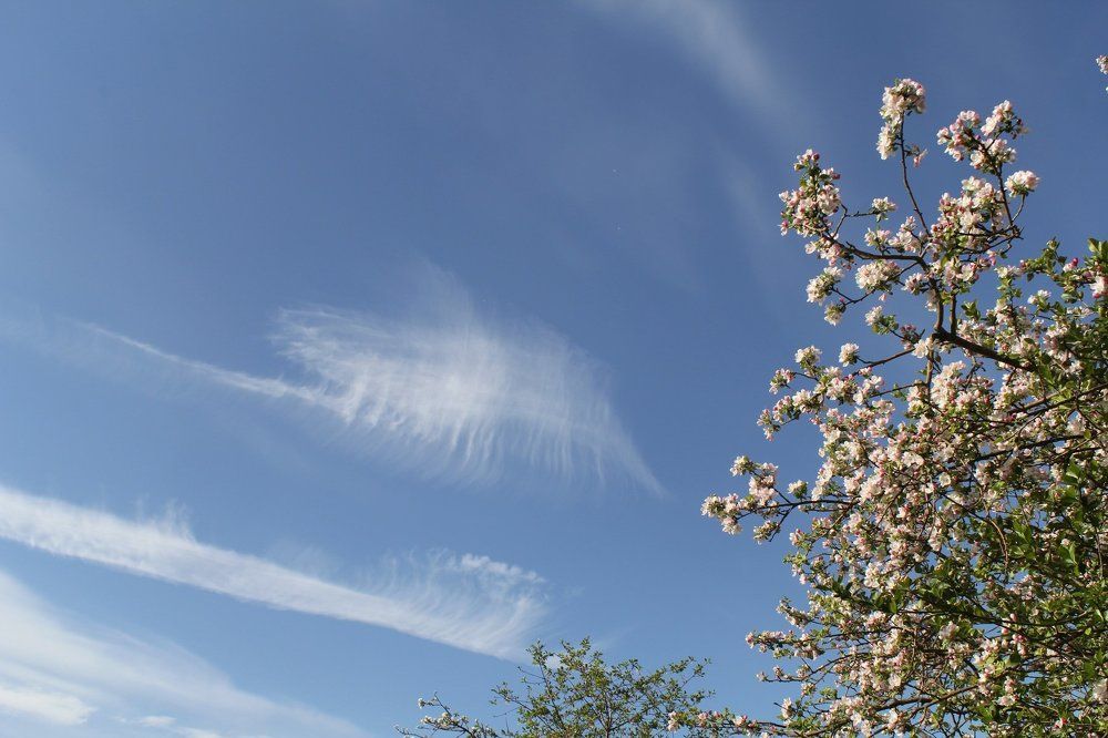 Весенние облака.