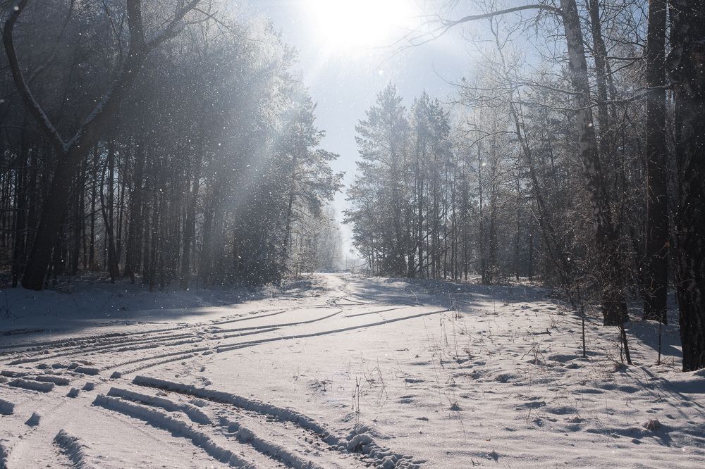 солнечное мгновение