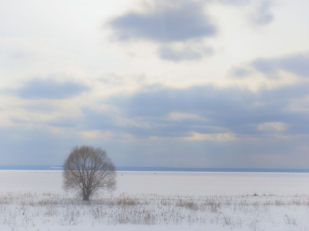 Early spring day on the lake