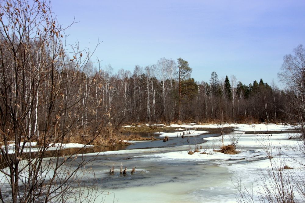 Весна пришла