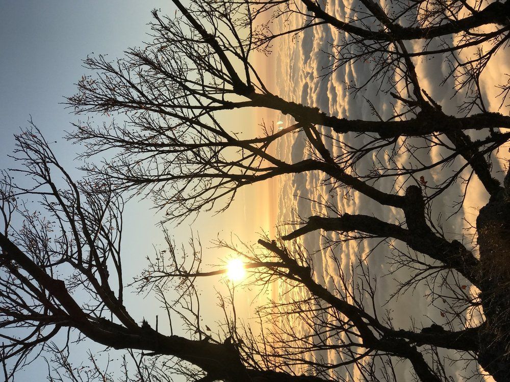 На рассвете в Демерджи