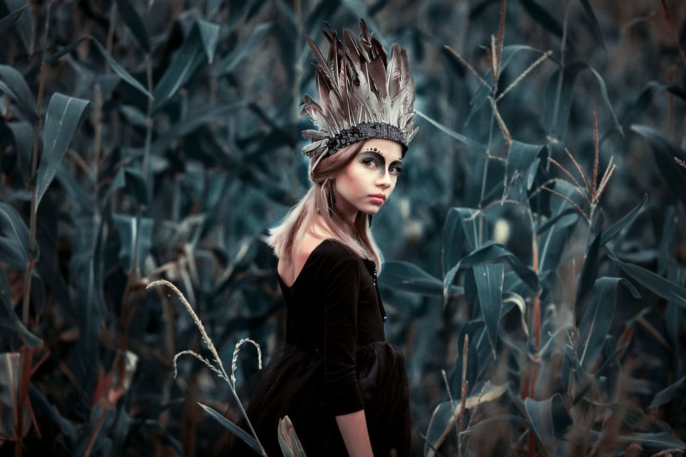 Таинственный Ворон