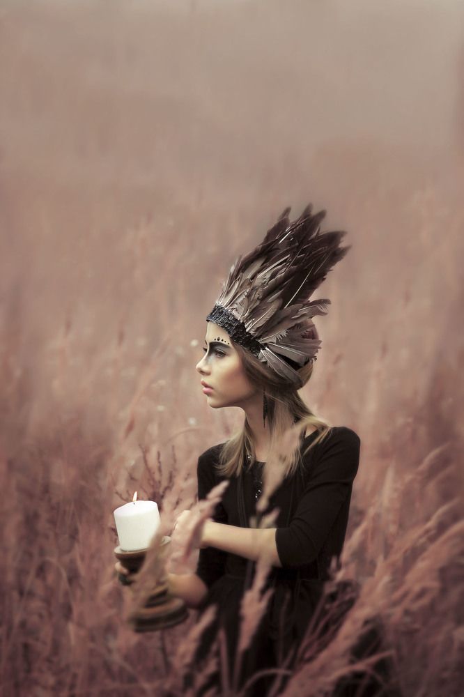 Прекрасный ворон