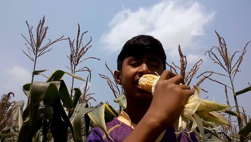 Photograph by Md Abu Sayeed Mondal