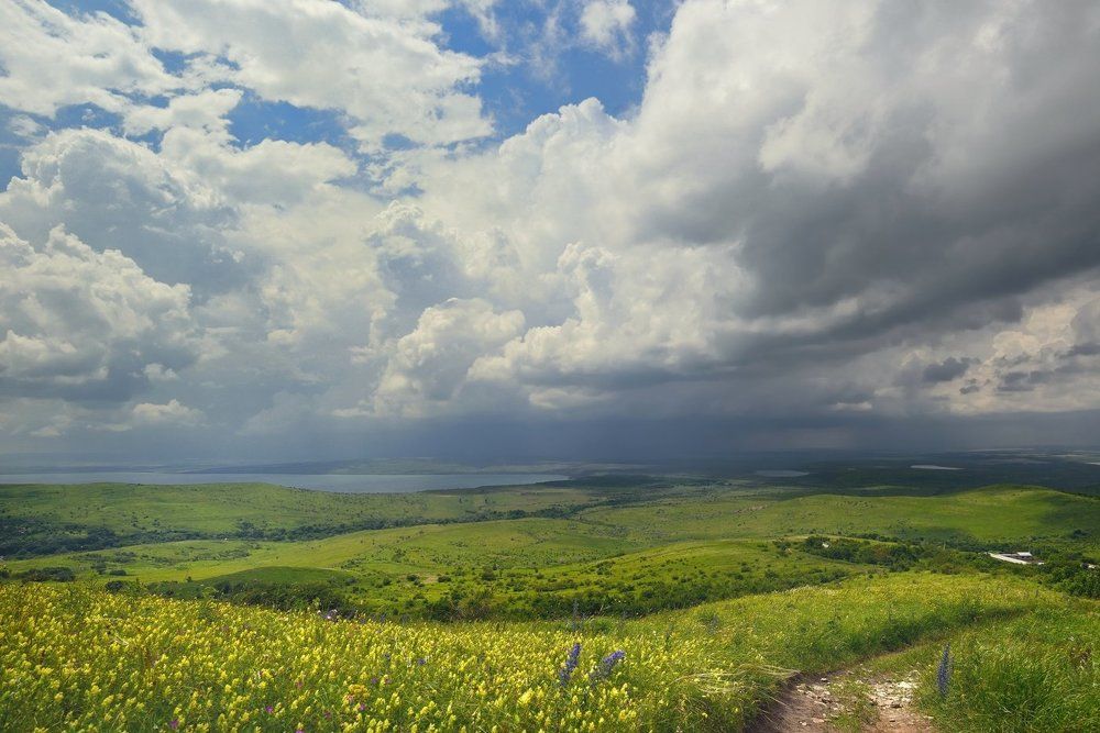 Летний дождь