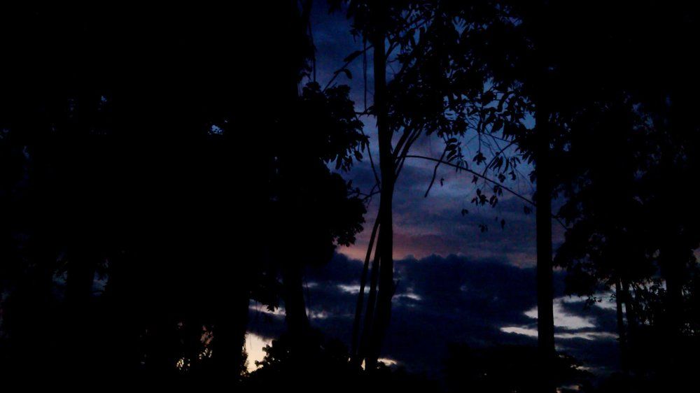 Photograph by Md Abu Sayeed Mondal