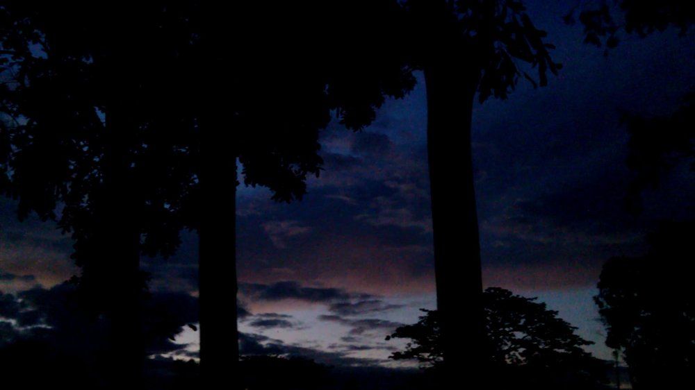 Photograph by Md Abu Sayeed Mondal