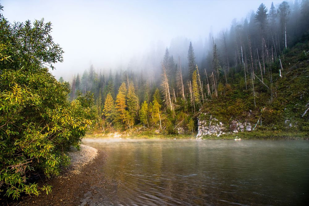 Утро на таёжной речке