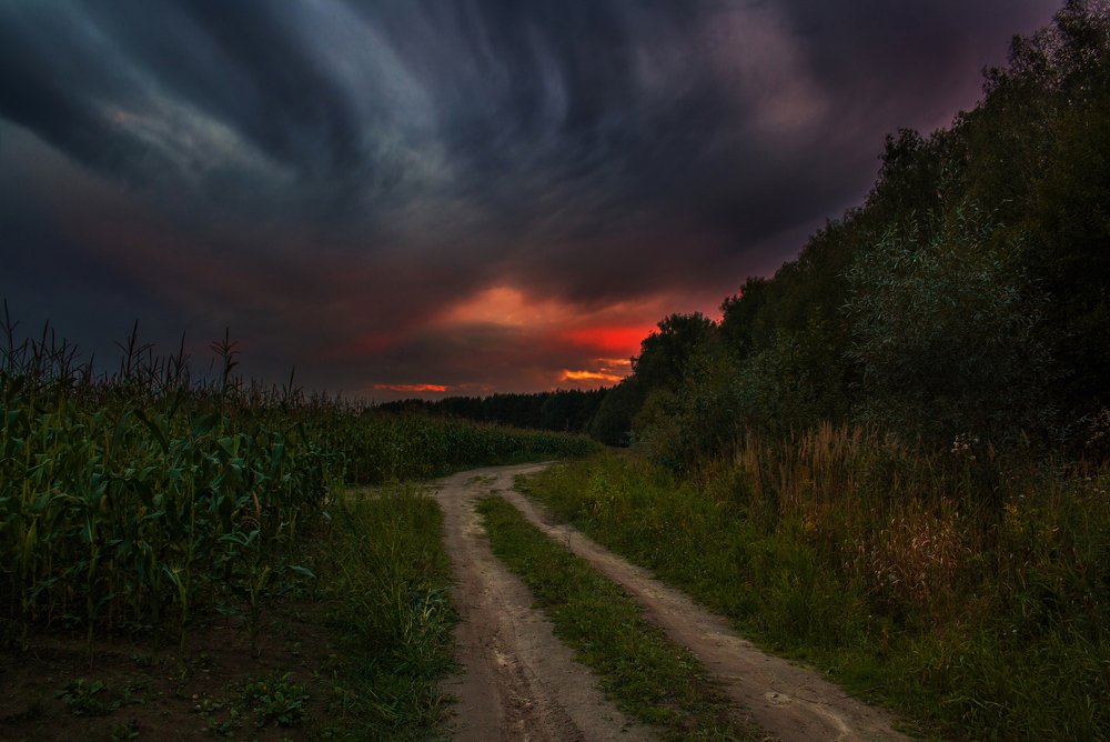 Что-то страшное грядет