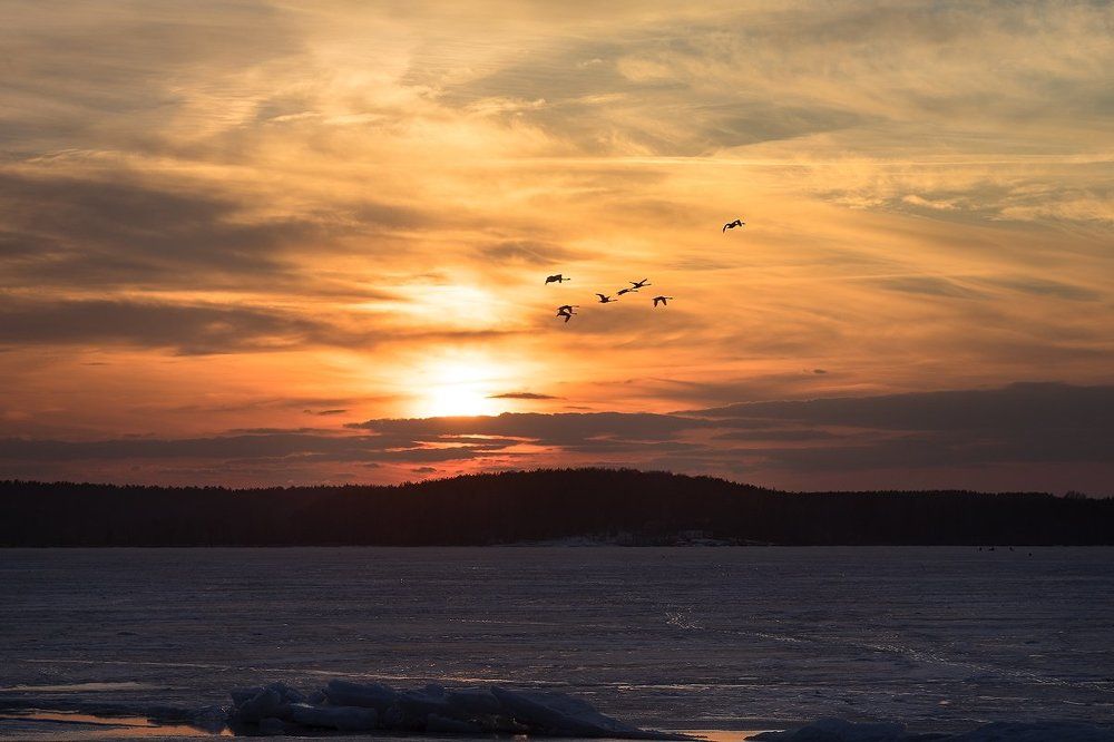Весна пришла вопреки всему