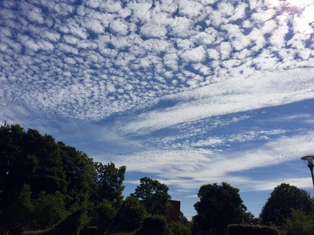 Photograph by Татьяна Белгарокова