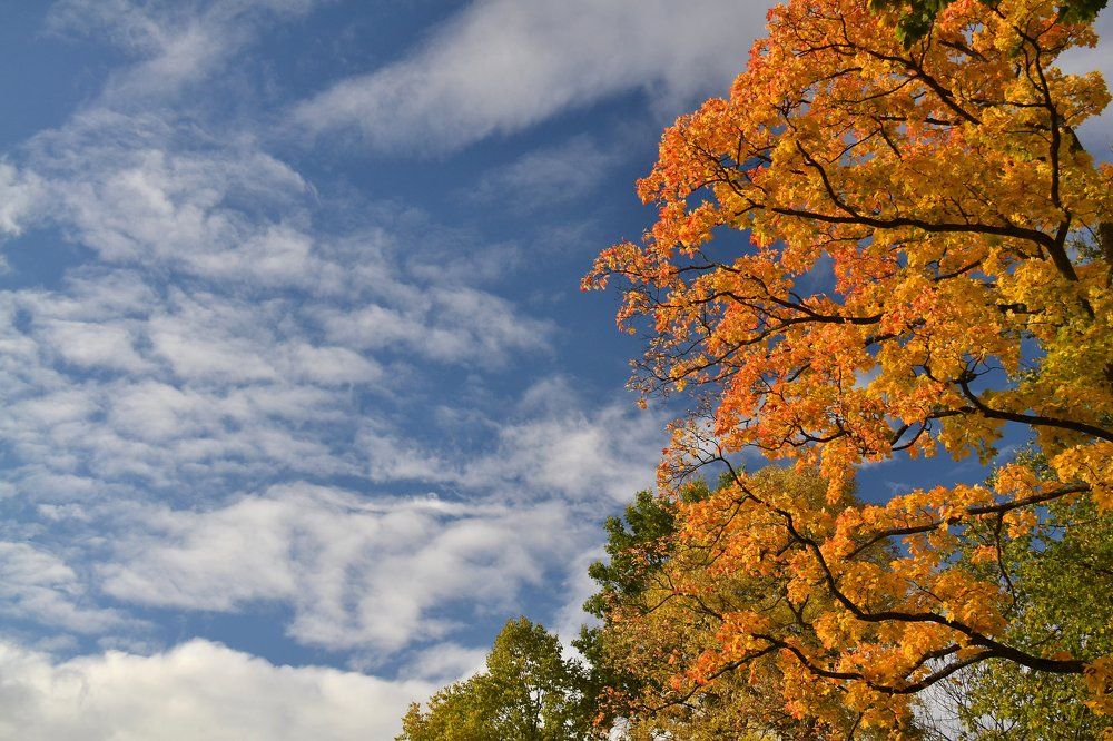 Photograph by Елена Боржковская