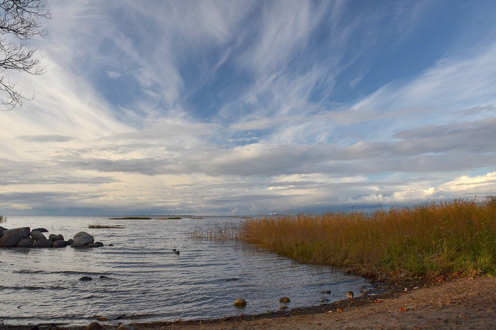 Photograph by Елена Боржковская