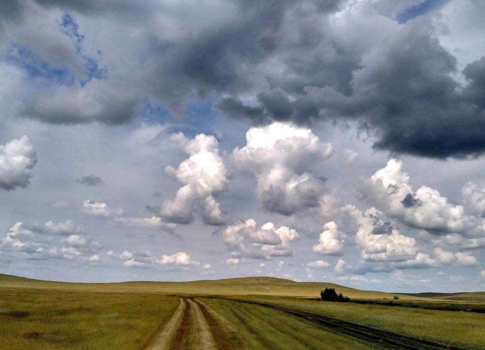 Если с другом вышел в путь, веселей дорога!