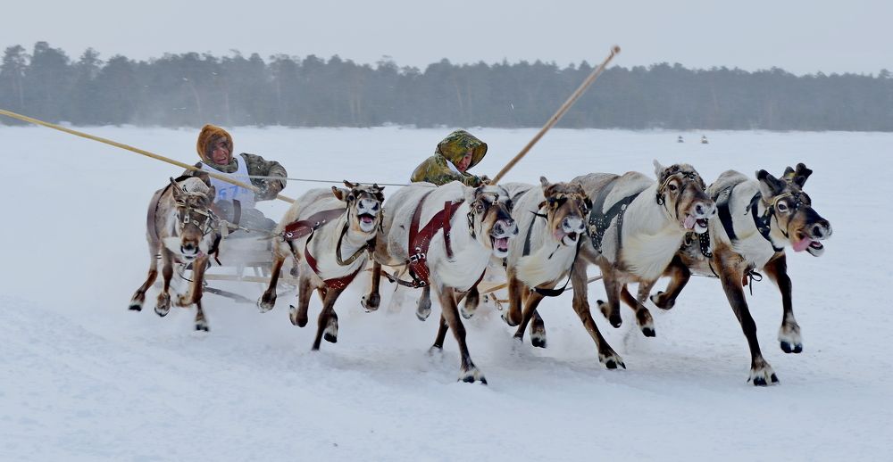 Эммоции- цена победы
