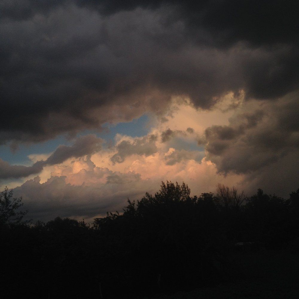 Photograph by Котова Лиза