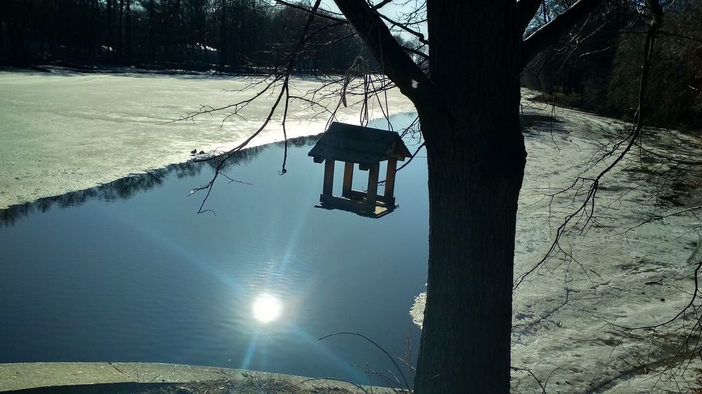 Photograph by Любовь Макарова