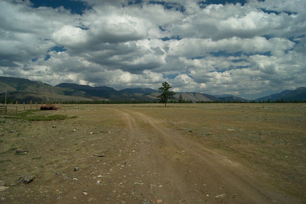 Горный Алтай. Курайская степь.2017