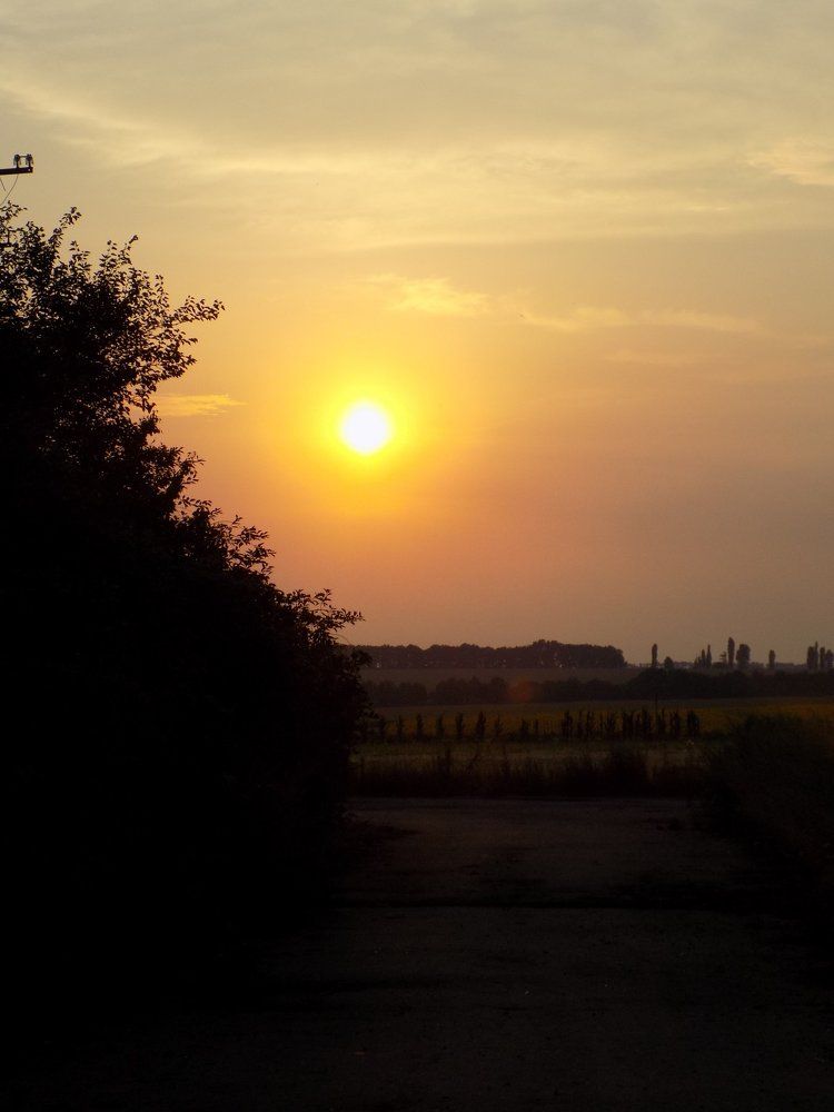 Photograph by Жабська Ірина
