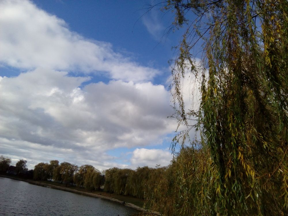 Міське озеро . ;)