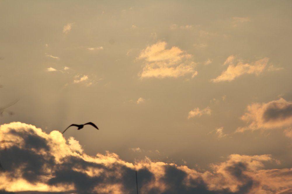 Недо на восходе солнца...