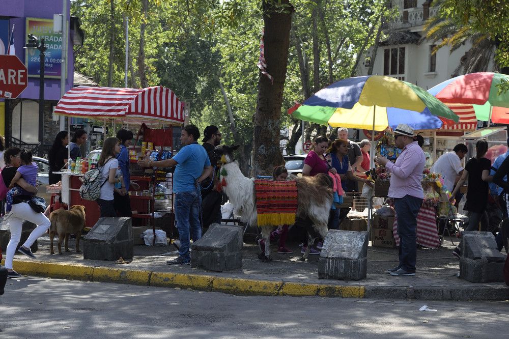 Sunday color_Domingo de color