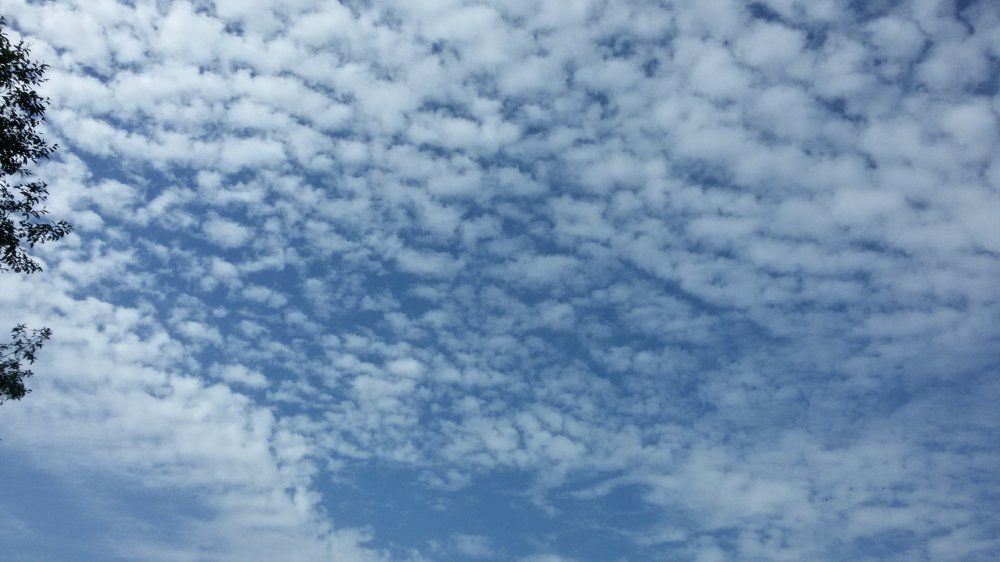 White Clouds