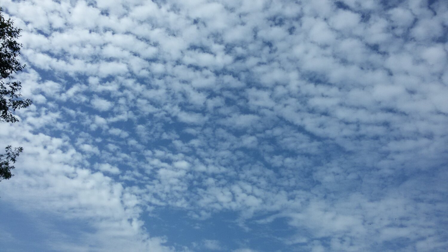 White Clouds
