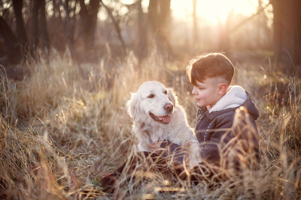 Photograph by Елена Кокоть