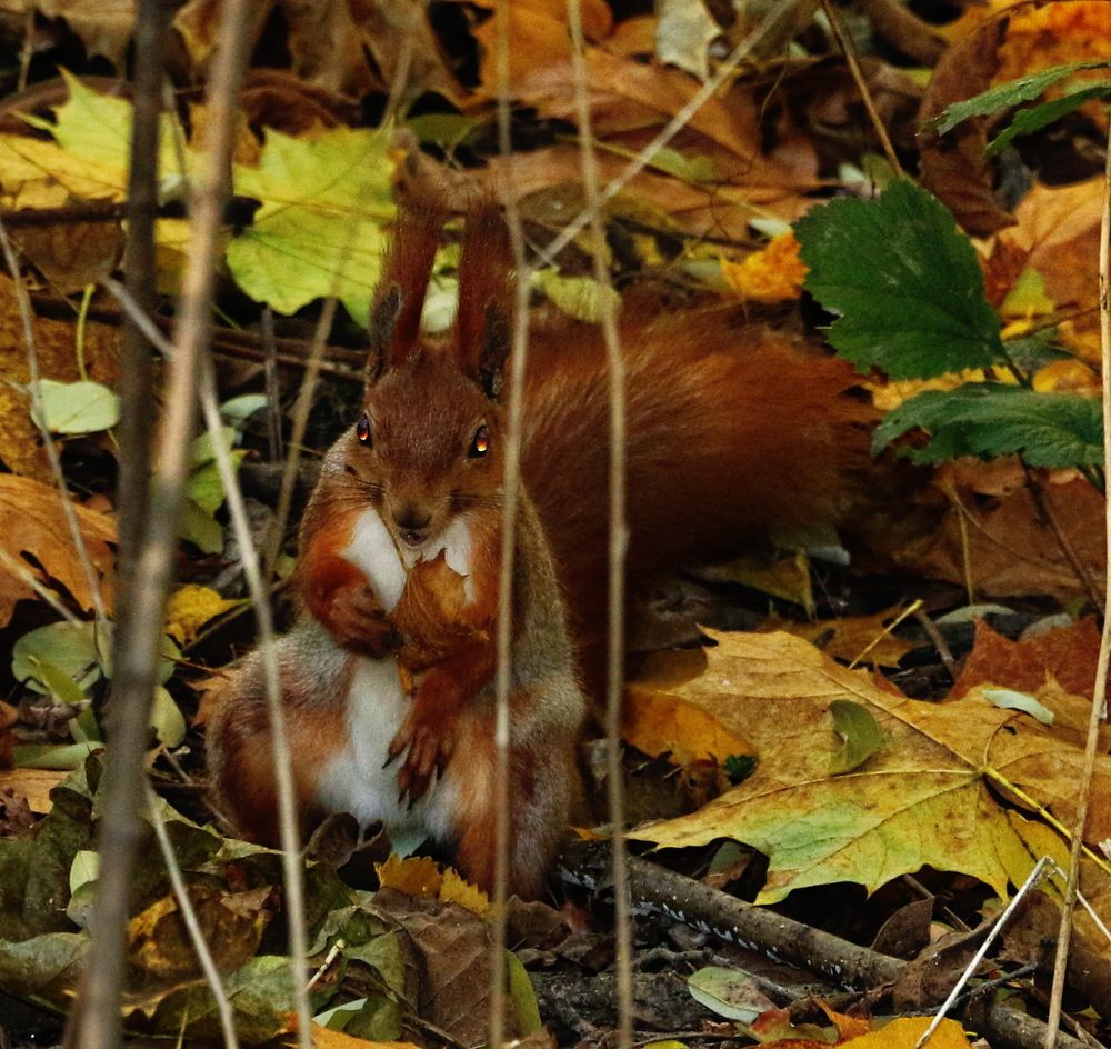Сели, поели и дальше пошли .