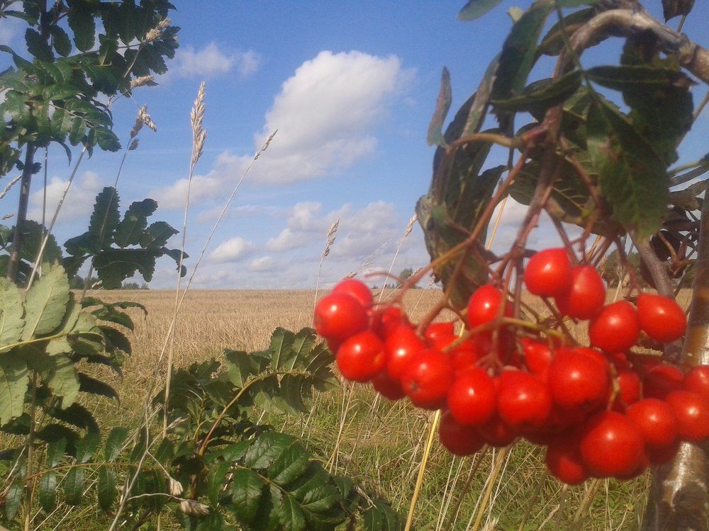 Photograph by Рутковская Жанна