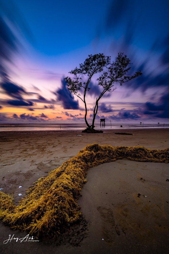 Bình minh ở biển Tan Thanh