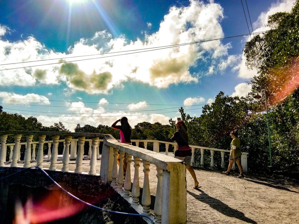 Friends under the sun