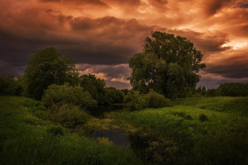 Photograph by Екатерина