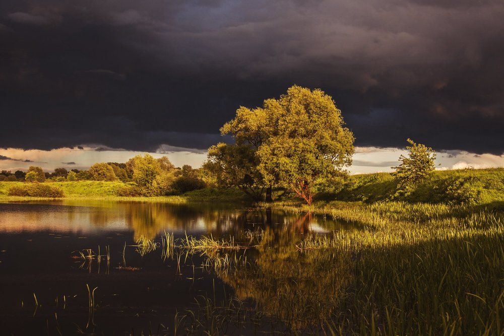 Photograph by Екатерина