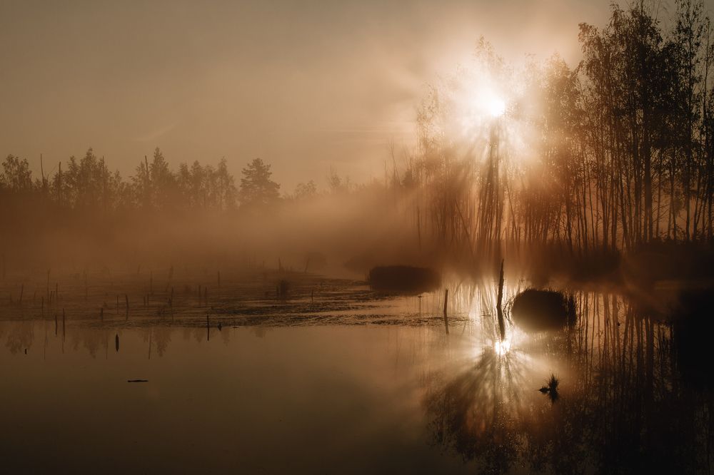 На рассвете